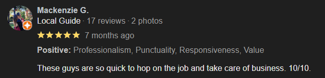 5 star customer review